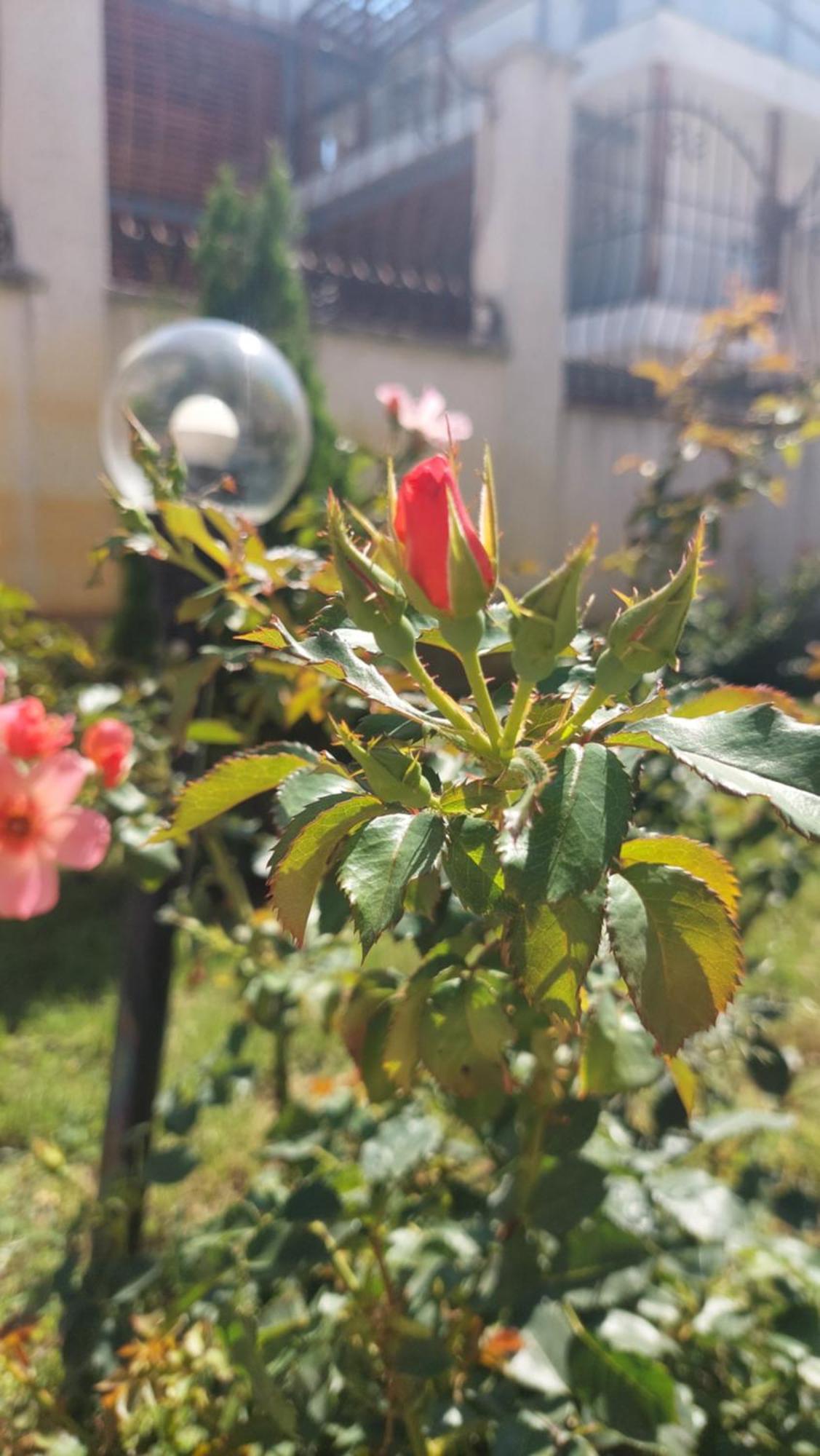 Bo'S Place سينتس قسطنطين وهيلينا المظهر الخارجي الصورة